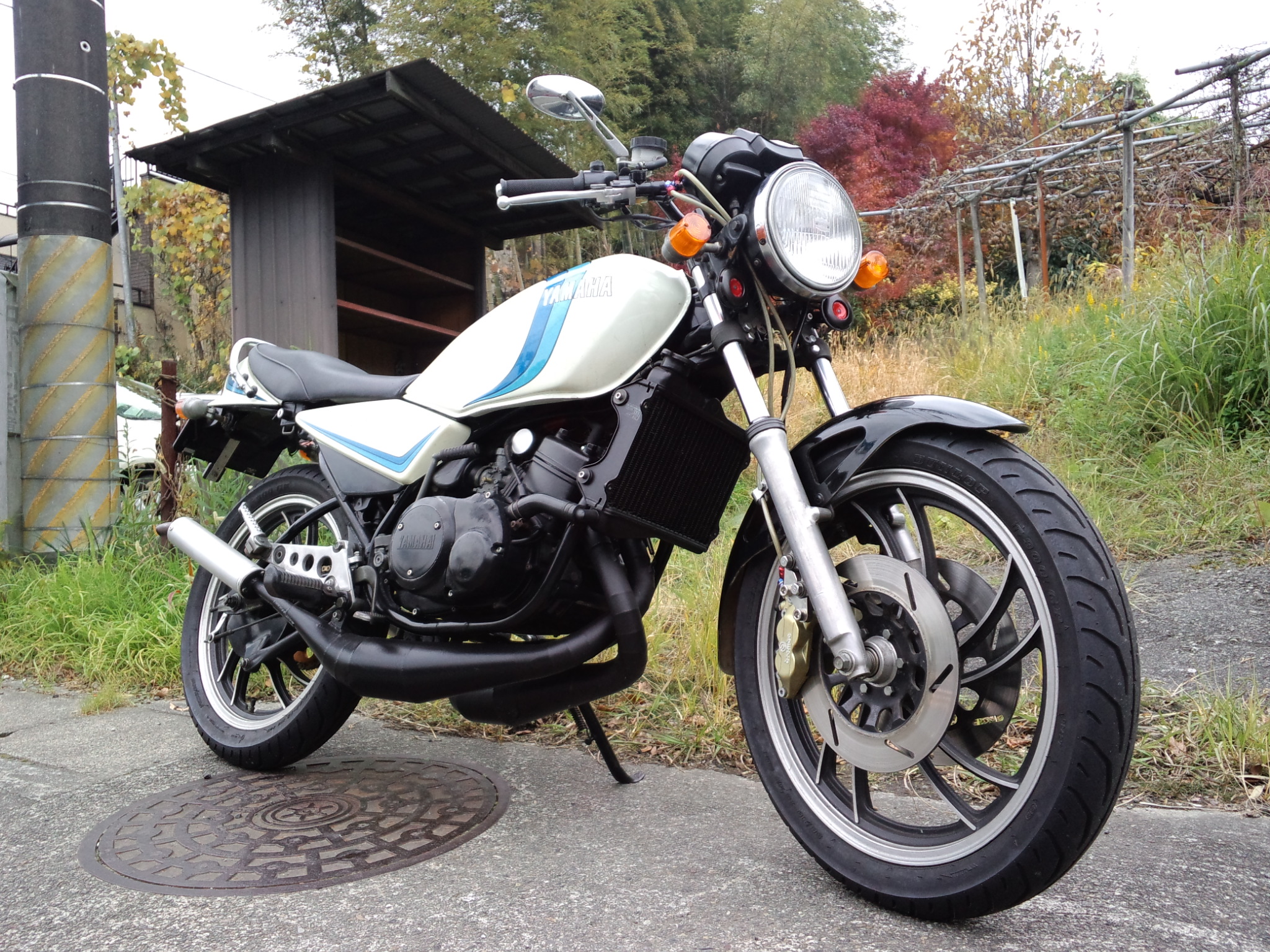 RZ250